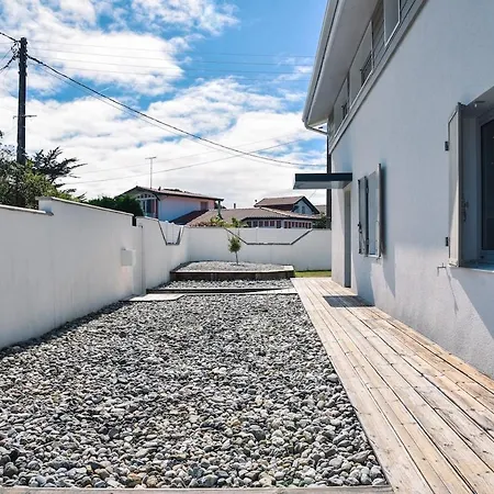 Contemporaine Proximite Et Centre *